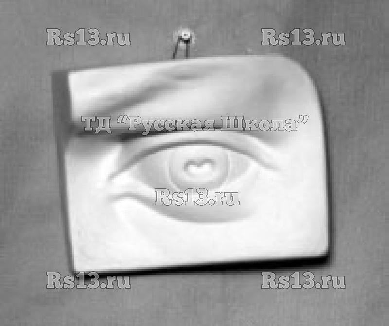 Гипсовая модель "Глаз человека"