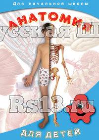 Компакт-диск "Анатомия для детей" (DVD)