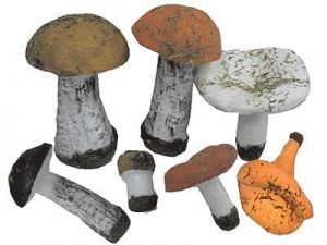 Набор муляжей грибов (4-5лет)