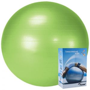 Мяч гимнастический PALMON 55 см
