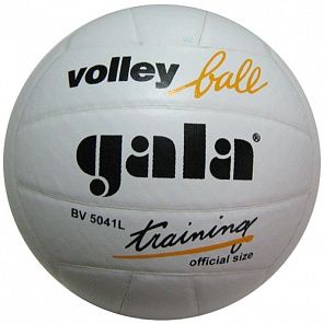 Мяч волейбольный Gala Training (натуральная кожа)