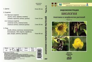 Компакт-диск "Биология. Анатомия и морфология растений"4ч. (4 опыта, 20 мин.) (DVD)