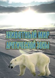 Компакт-диск "Животный мир Арктической зоны"(DVD)
