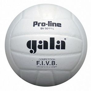 Мяч волейбольный Gala Pro-Line Competition