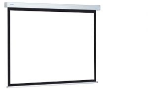 Проекционный экран Projecta ProScreen (10200028)